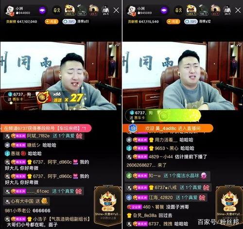 最新直播爆料视频,最新爆料视频深度解析